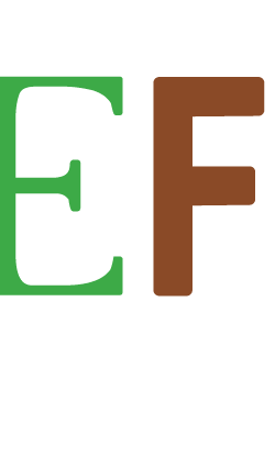 life-food-logo