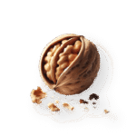 life-food-logo-hero-4