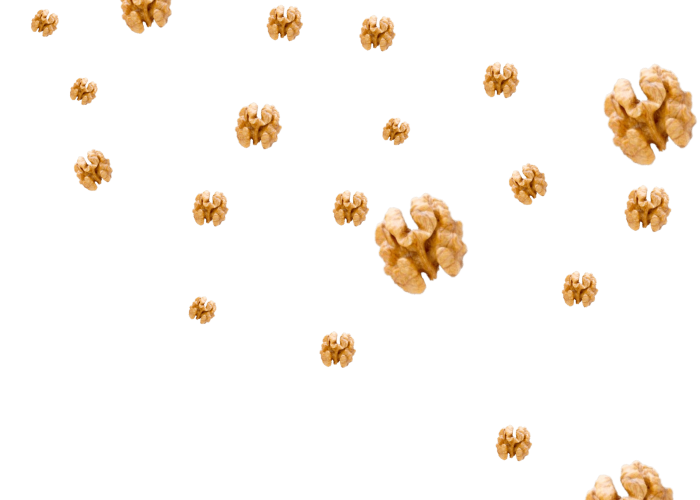 life-food-logo-hero-6