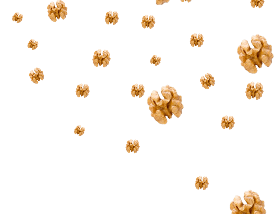 life-food-logo-hero-6