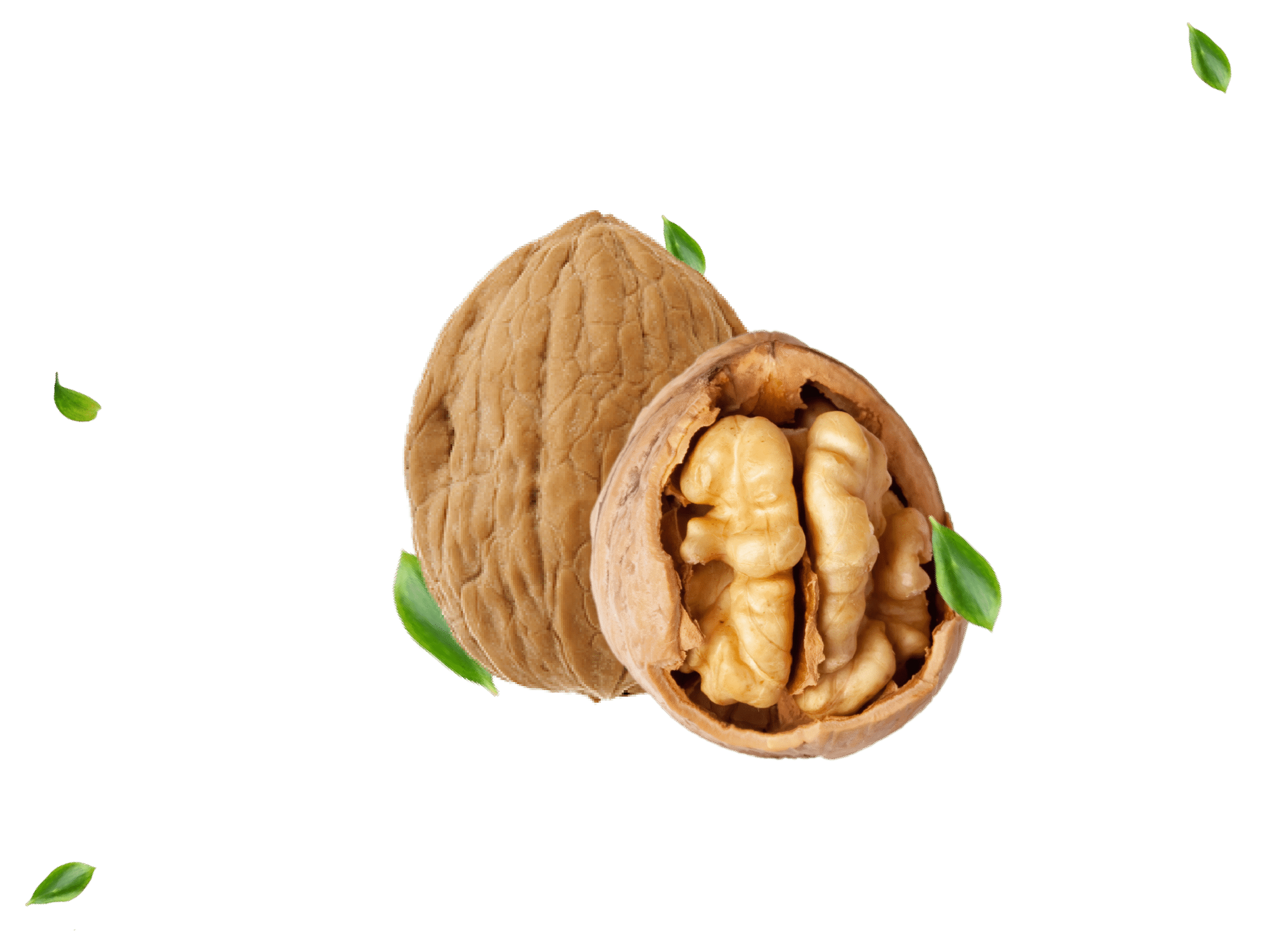 life-food-logo-hero
