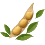 Diseño sin título(2)