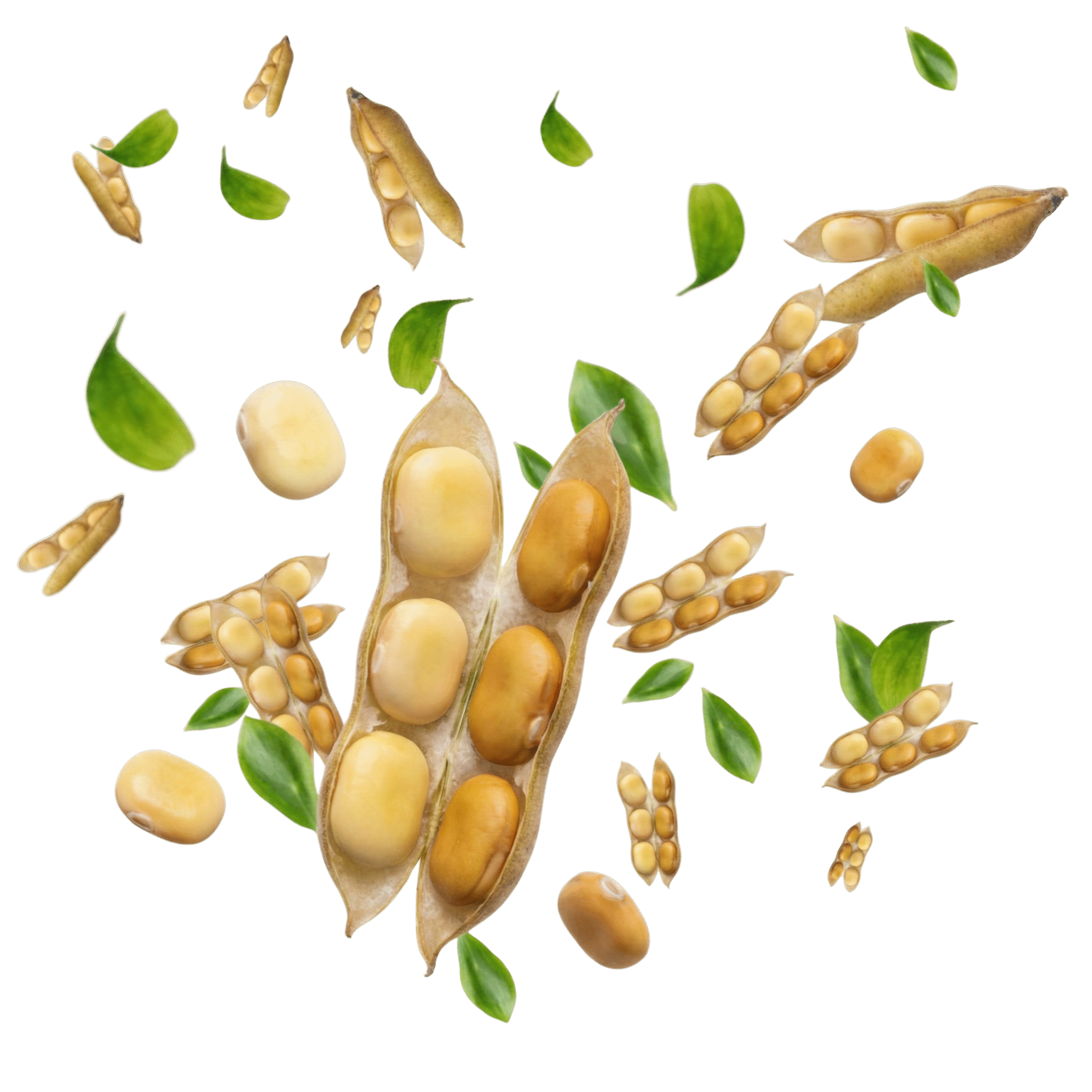 Diseño sin título(6)