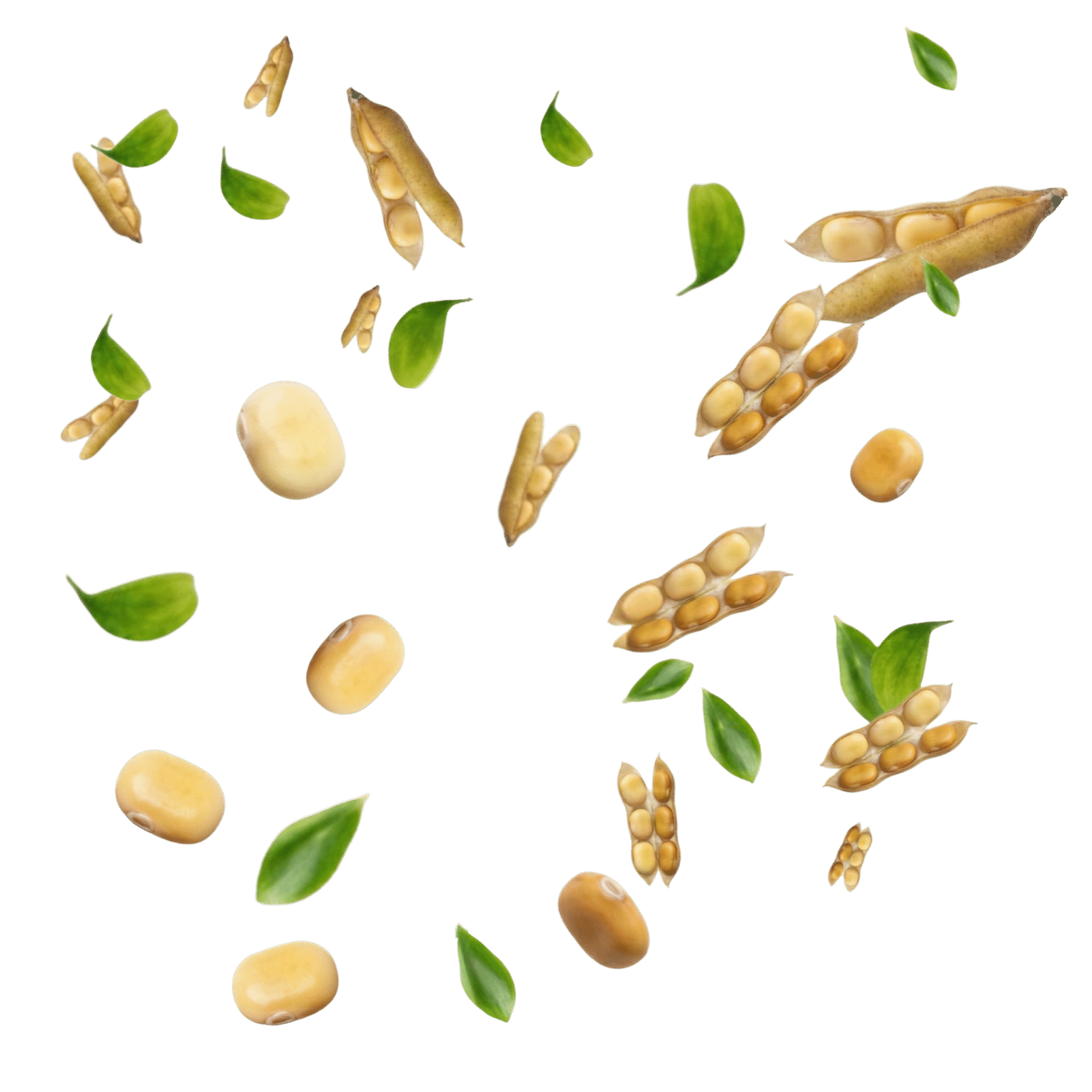 Diseño sin título(7)