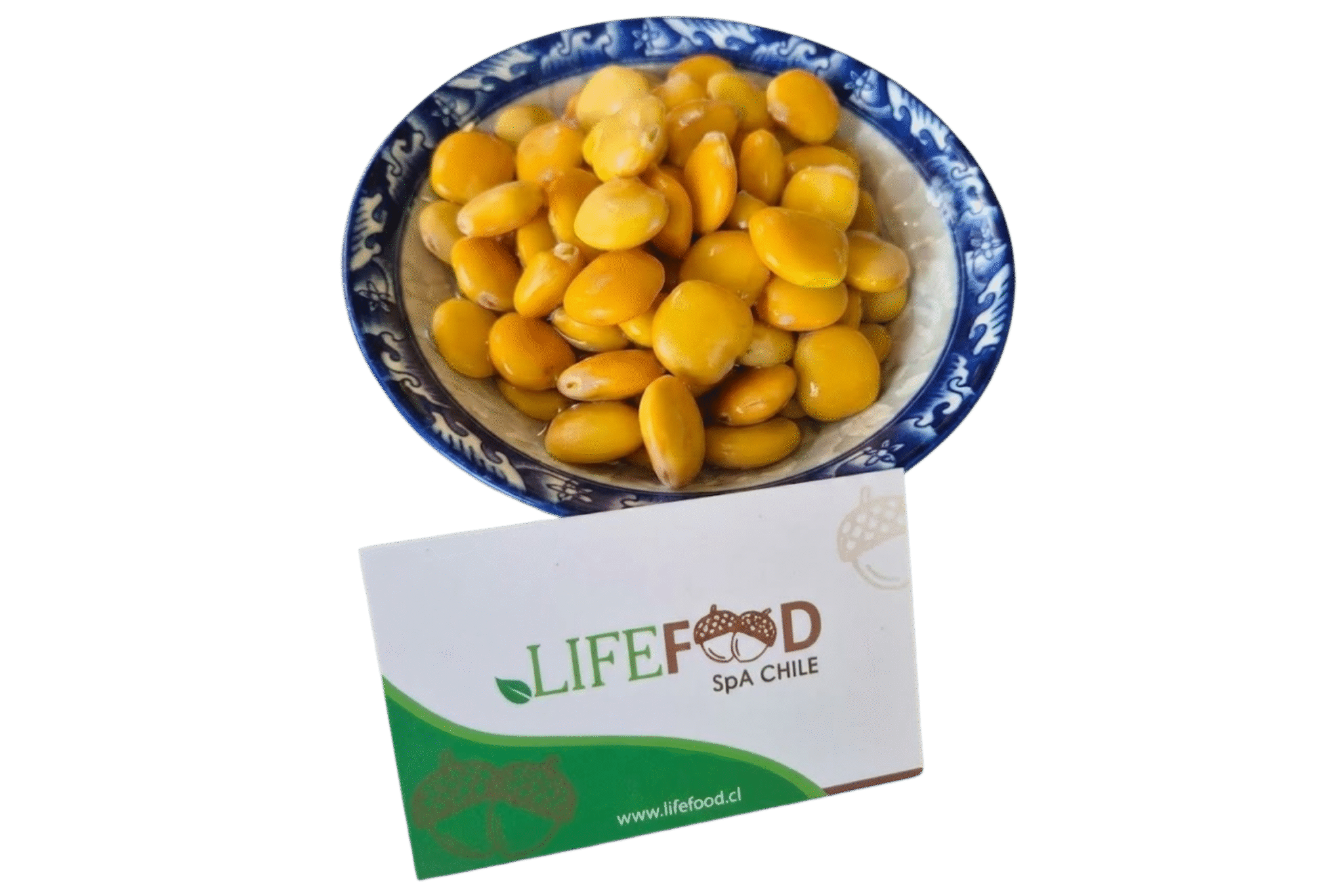 Diseño sin título(13)