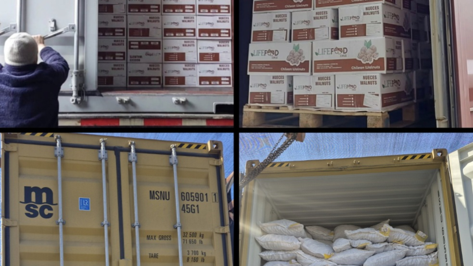 Export nueces